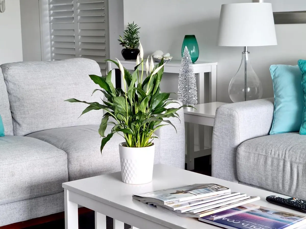 Sealuxe Suites - Central Surfers Paradise Gold Coast Australie